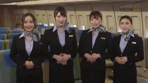 Poster of Hãng Cây hàng không thiên đường tri ân khách Cây hàng thân thiết